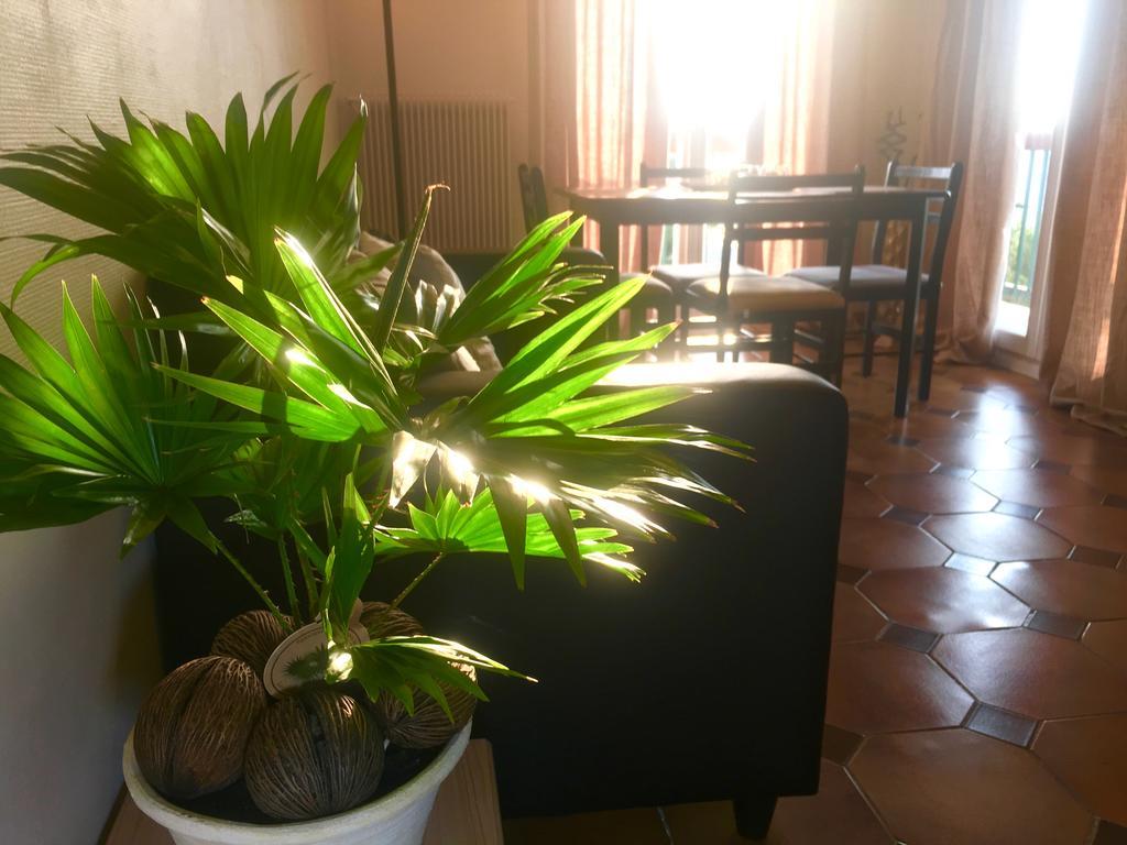 Apartmán Appt Spacieux 60M2 - Vue Imprenable Proche Mer Et Montagne Perpignan Exteriér fotografie